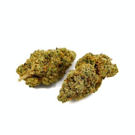 King Tut Strain