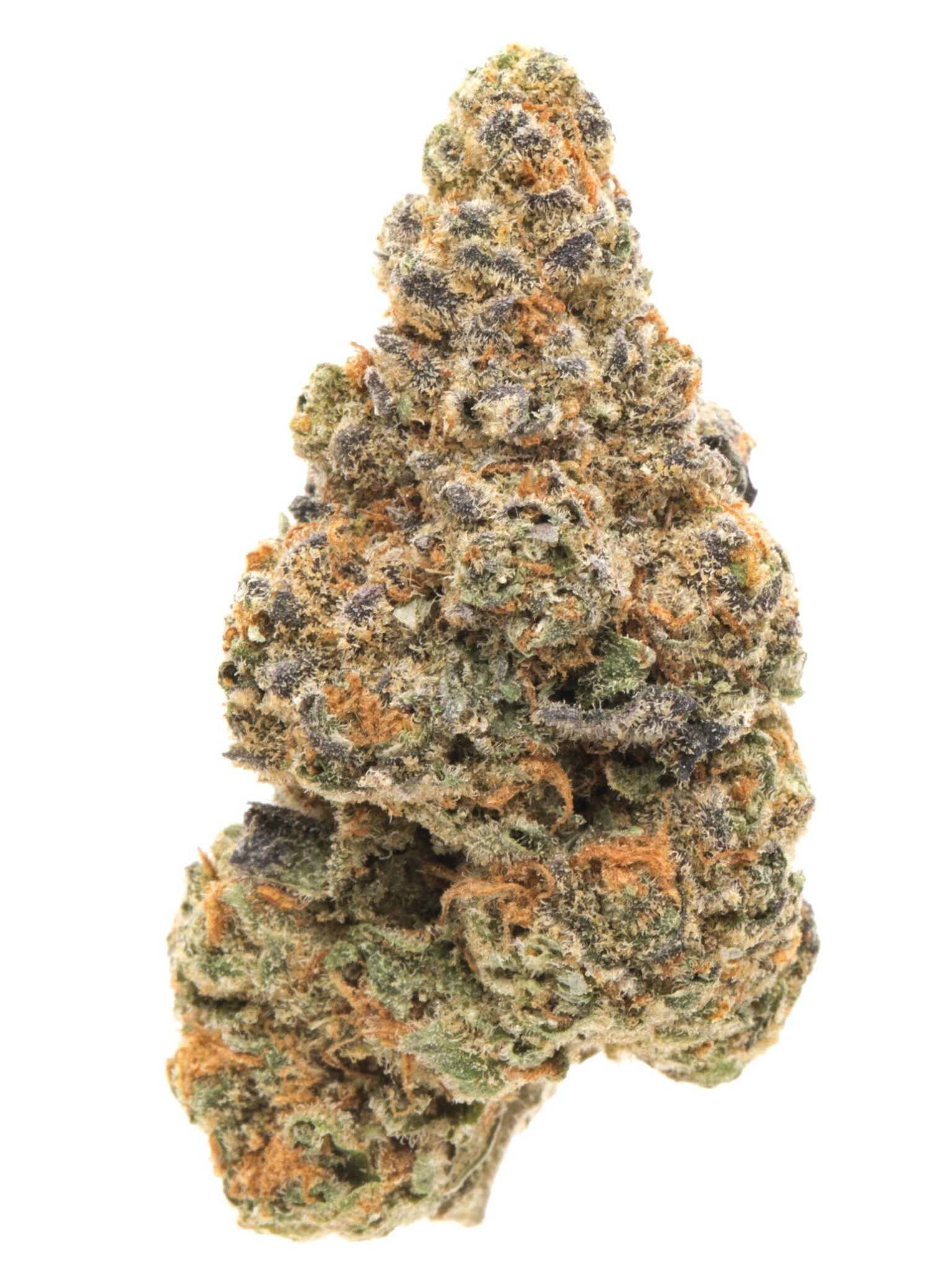 1548915658-171122_37089_GirlScoutCookies_1__1_-scaled-1-1536x2048-1.jpg