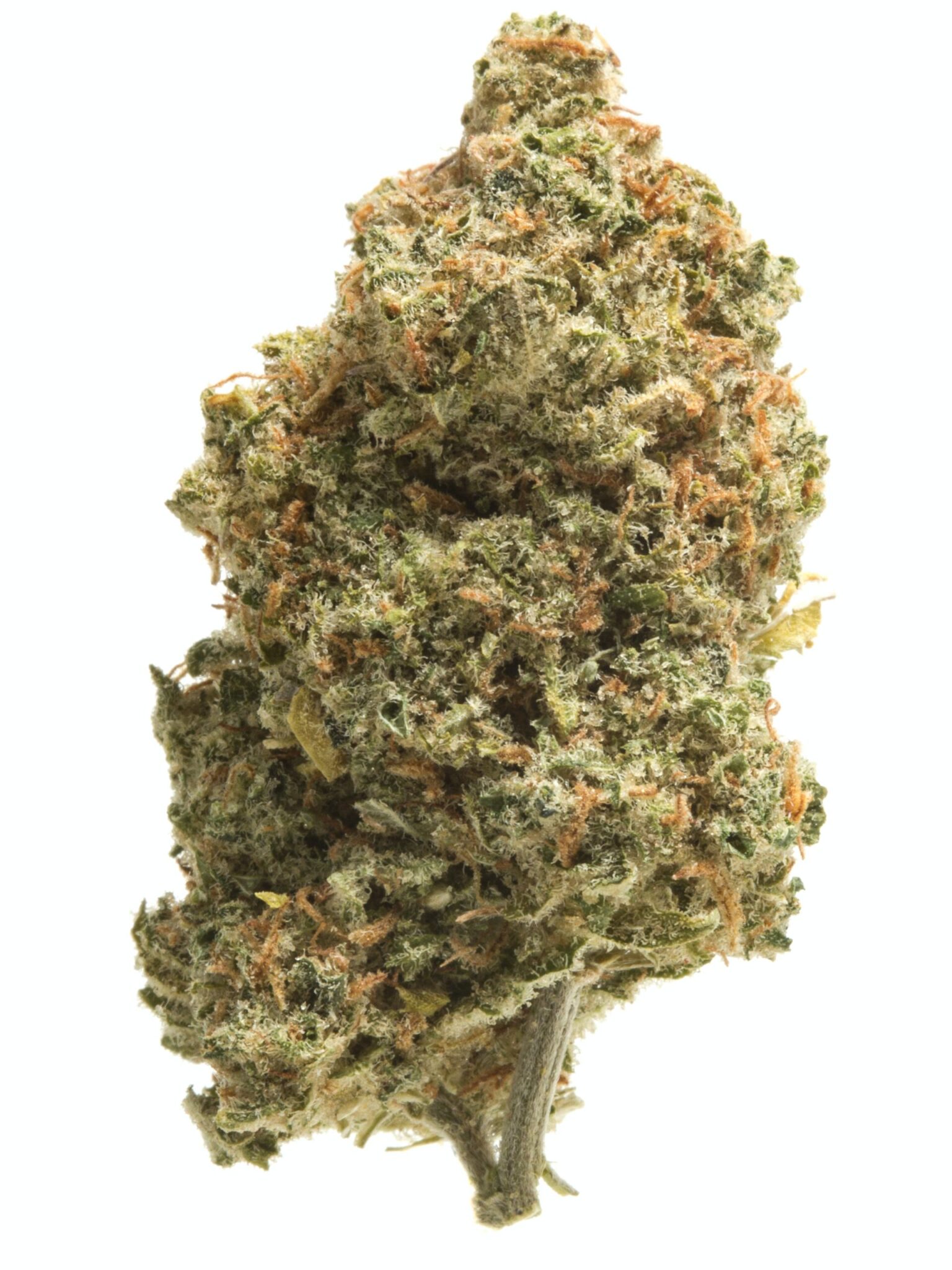 71785112_180212F_40707_GreenCrack_1-scaled-1-1536x2048-1.jpg