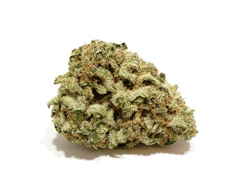 Alaskan-Thunder-Fuck-1.jpg