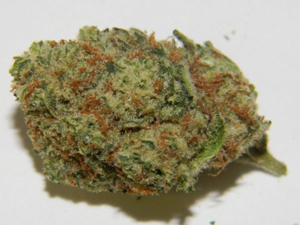 Cannalope-Haze-Strain-600x450-1-1.jpg