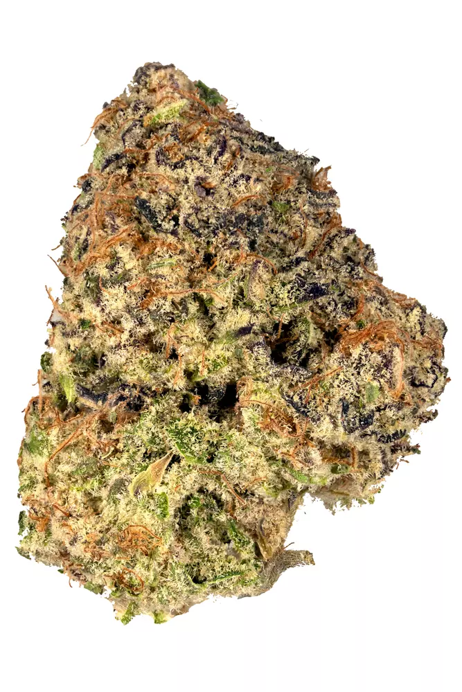 Purple-Punch-D36E.webp