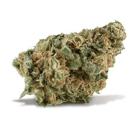 Trainwreck-Cannabis-Strain_450-1.jpg