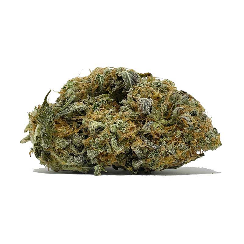 calikushdec15.jpg