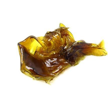 Purple OG Shatter